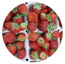 Arjuna Berry Farms Ltd.