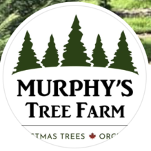 Murphy’s Christmas Tree Farm