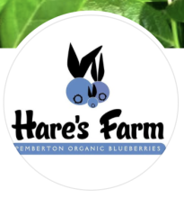 Hare's Farm, Pemberton Organic Blueberries