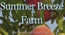 Summer Breeze Farm