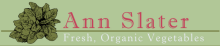 Ann Slater Fresh Organic Vegetables