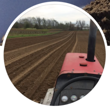 Neufeld Family Farm