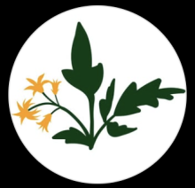 Slow Roots Farm