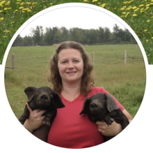 The Frugal Farm