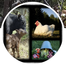 Klasse Woods Natural Farm
