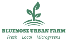 Bluenose Urban Farm