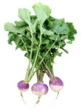 J.R. Organics Farm