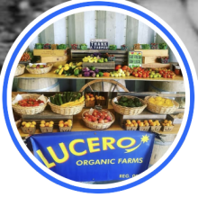 Lucero Organic Farms