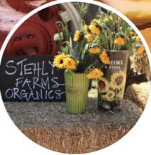 Stehly Farms Organics