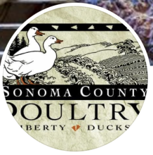 Liberty Ducks