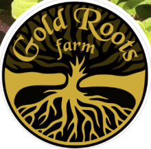 Gold Roots Farm