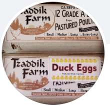 Tzaddik Farm