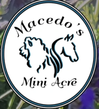 Macedo's Mini Acre