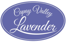 Capay Valley Lavender