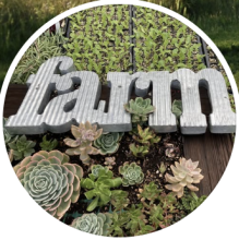 Soil Born Farms
