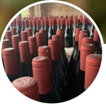 Captain Vineyards
