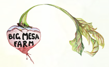 Big Mesa Farm
