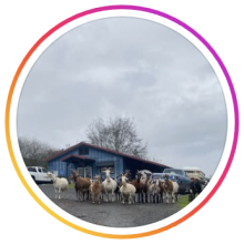Toluma Farms