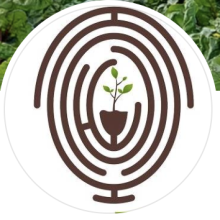 Green Thumb Organics Farms