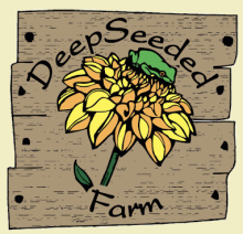 Deep Seeded Community Farm