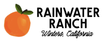 Rainwater Ranch